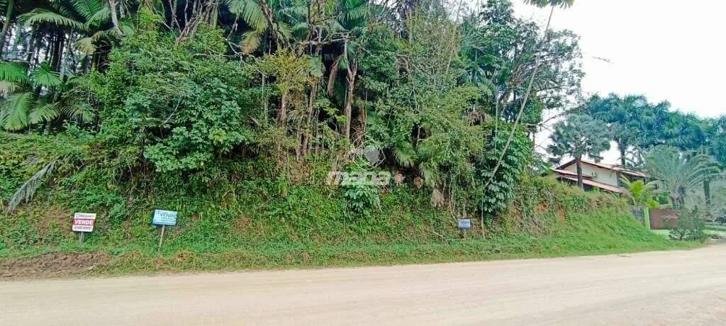 Terreno Urbano à venda, Padre Martinho Stein - Timbó/SC — foto 2