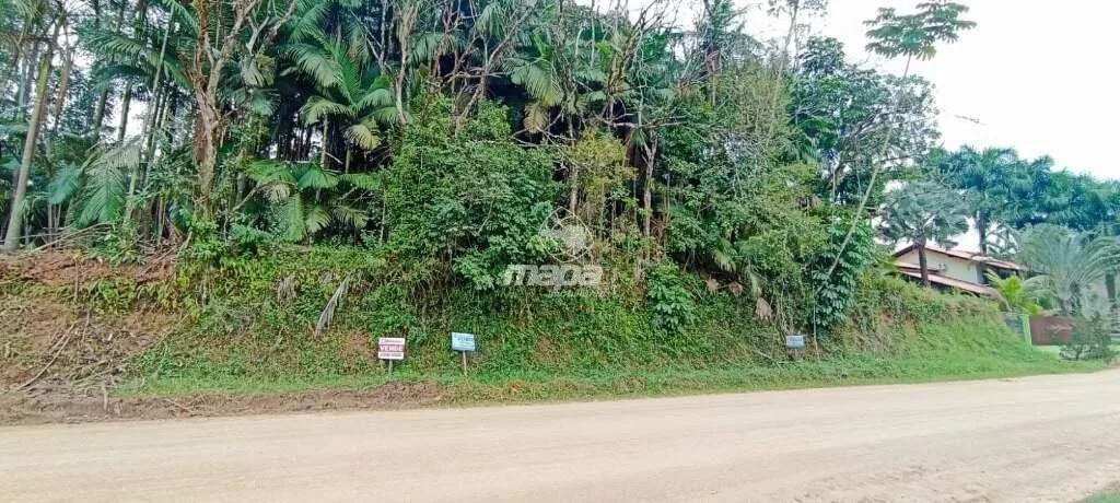 Terreno Urbano à venda, Padre Martinho Stein - Timbó/SC - foto 1