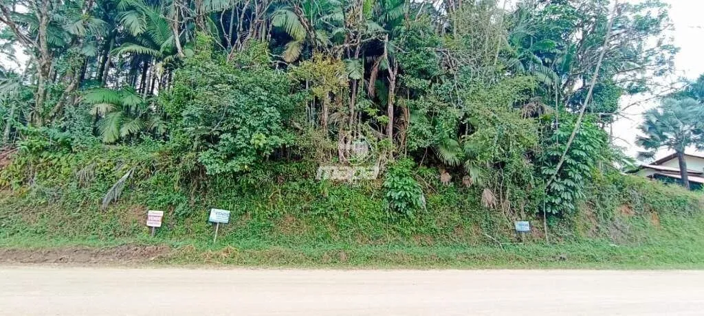 Terreno Urbano à venda, Padre Martinho Stein - Timbó/SC — foto 2
