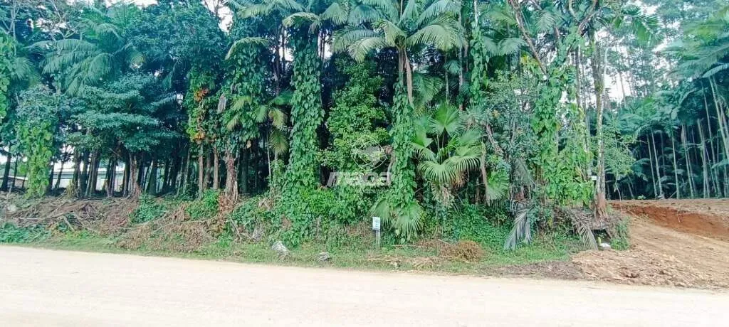 Terreno Urbano à venda, Padre Martinho Stein - Timbó/SC - foto 1