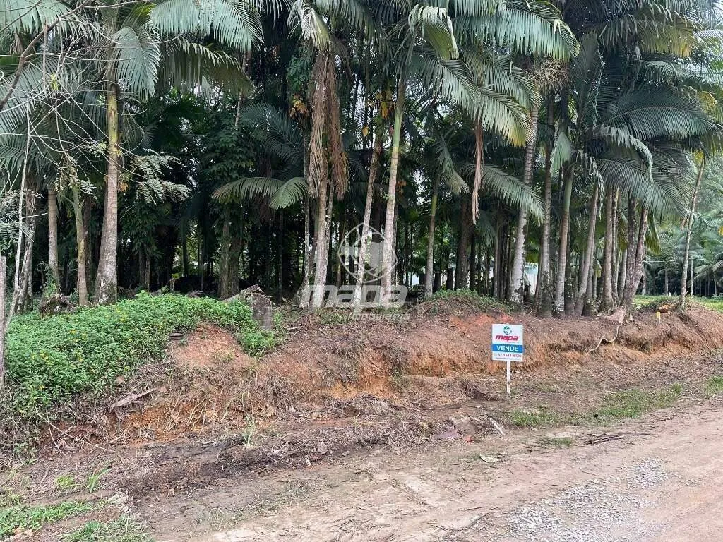 Terreno Urbano à venda, Padre Martinho Stein - Timbó/SC - foto 1