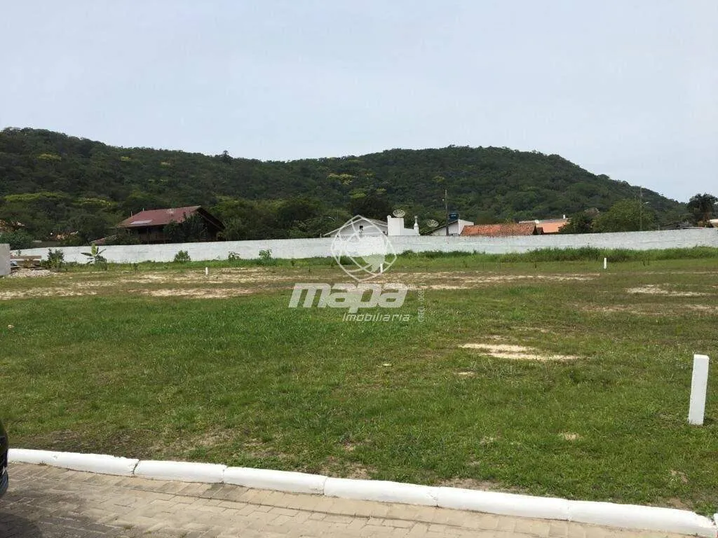 Terreno Urbano à venda, Sertãozinho - Bombinhas/SC — foto 4