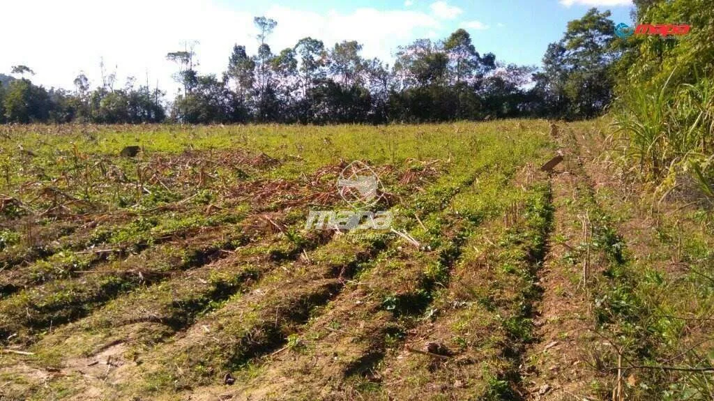 Terreno Industrial — foto 2