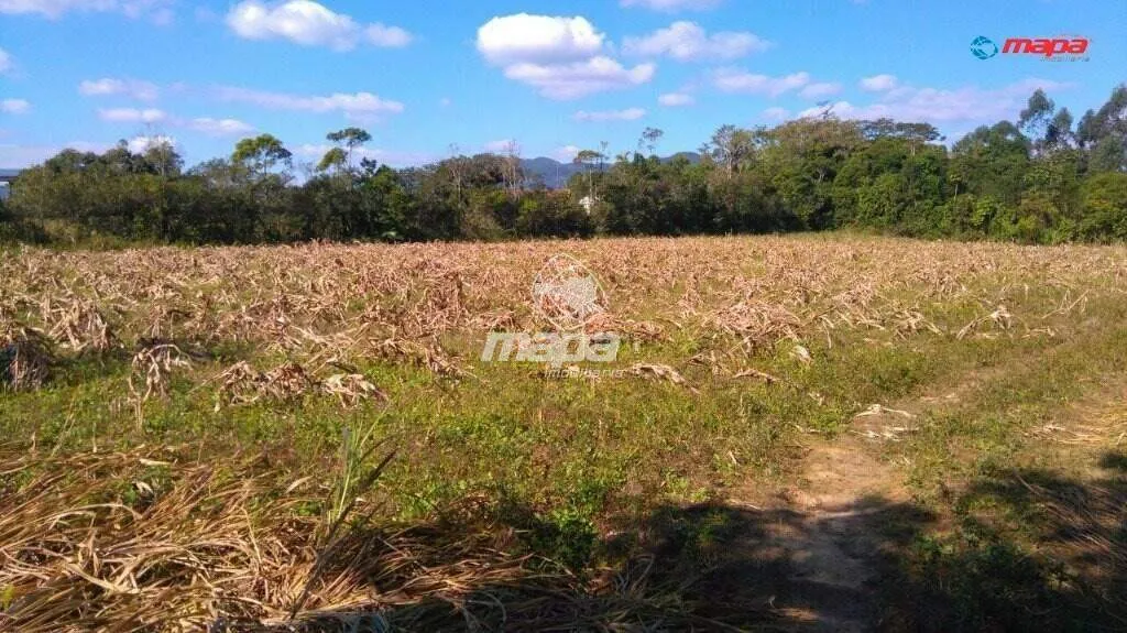Terreno Industrial — foto 4