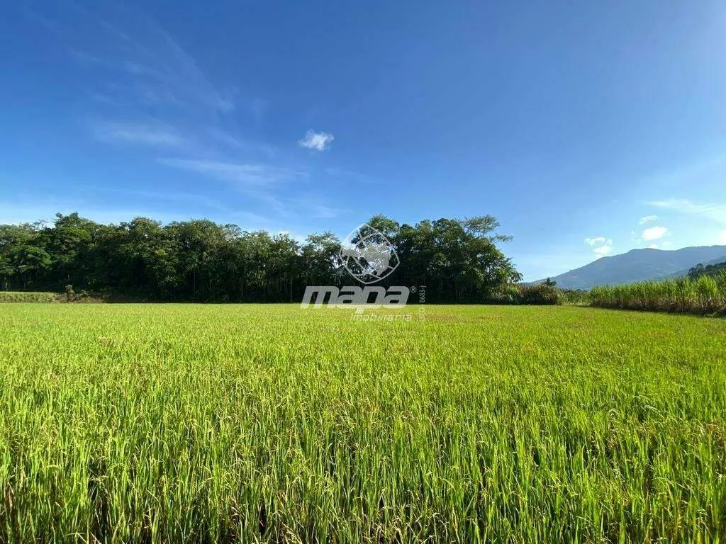 Terreno Rural à venda, Caravagio - Rio dos Cedros/SC - foto 1