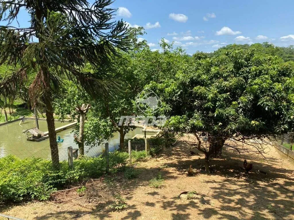 Amplo imóvel com muita infraestrutura próximo ao centro da cidade. — foto 3