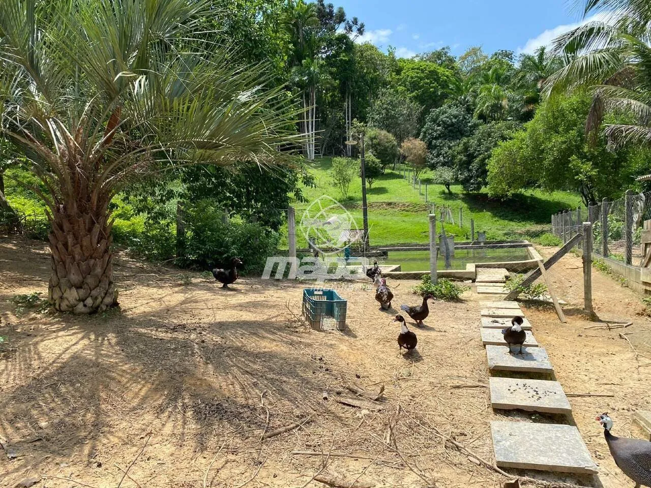 Amplo imóvel com muita infraestrutura próximo ao centro da cidade. — foto 4