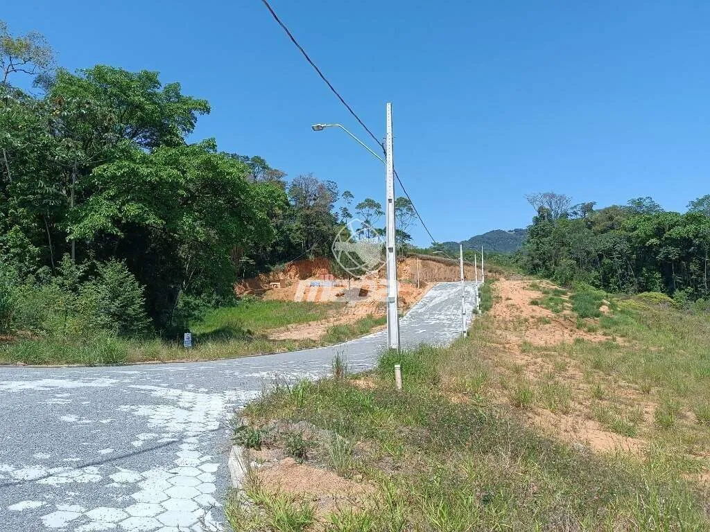 Terreno Urbano à venda, Centro - Rio dos Cedros/SC - foto 1