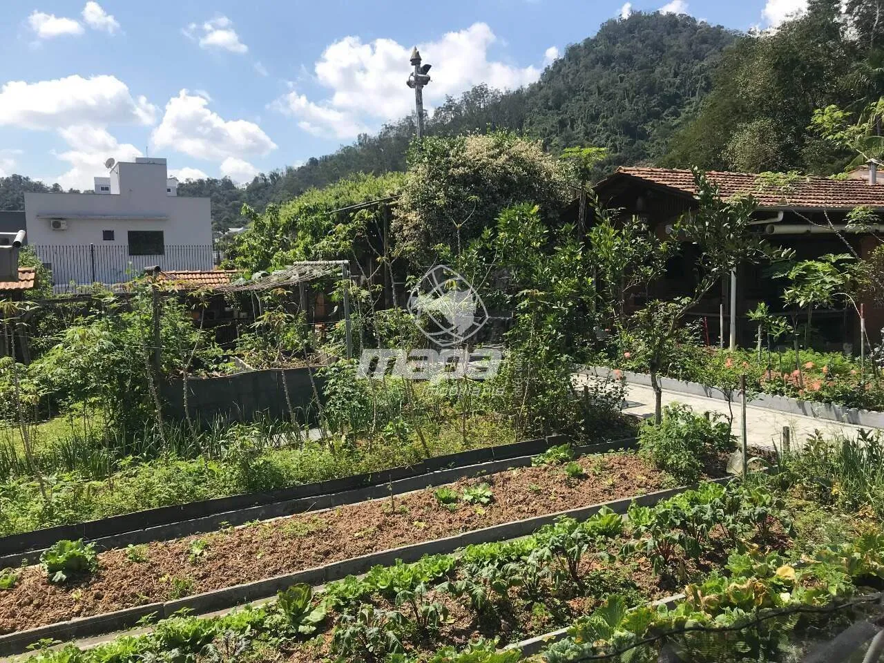 Amplo Imóvel para construção de condomínio residencial ou estabelecimento comercial em região central. — foto 6