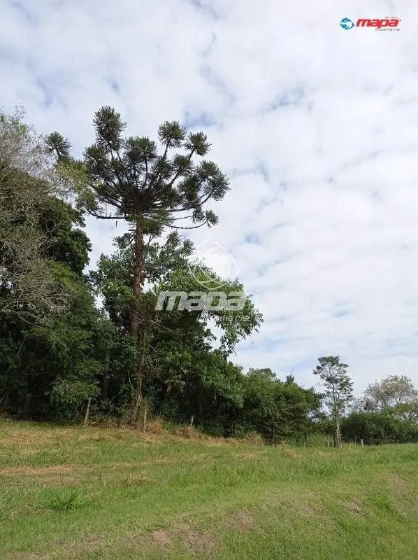 Terreno à Venda - Tapajós — foto 2