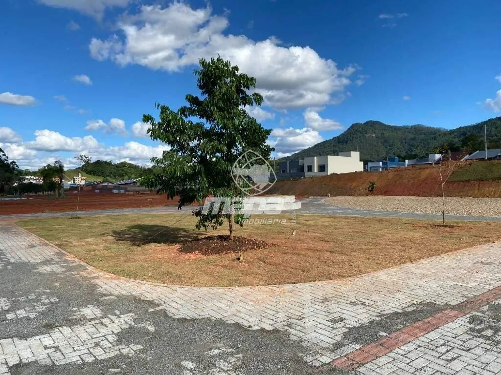 Terreno à Venda no bairro Arapongas — foto 3