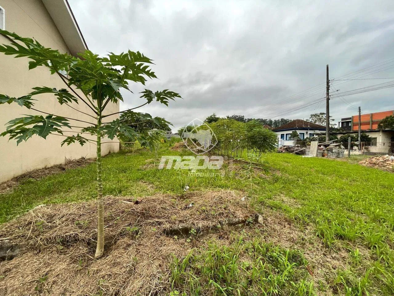 Terreno no Tapajós — foto 3