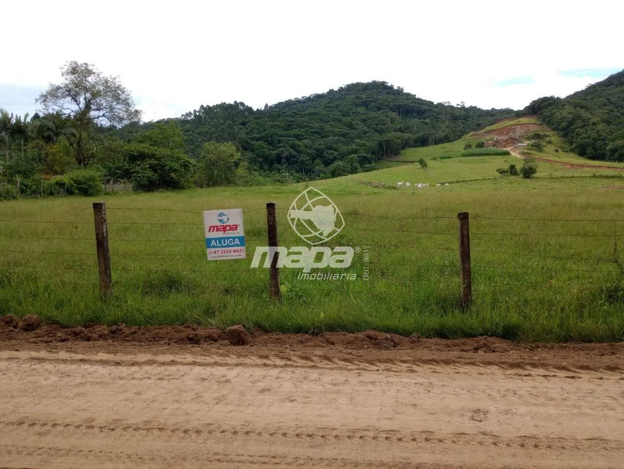 Terreno para locação — foto 3