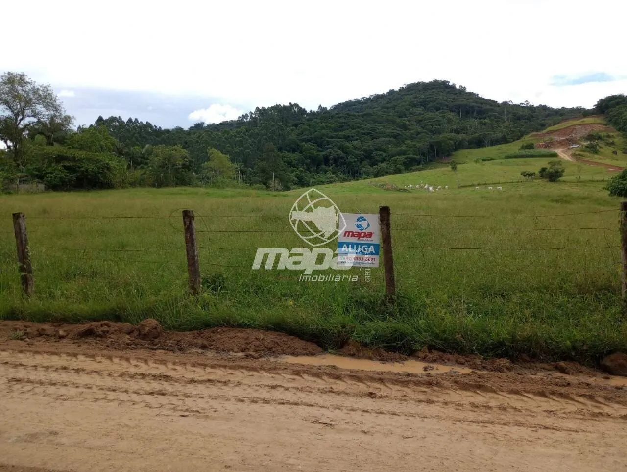 Terreno para locação — foto 6