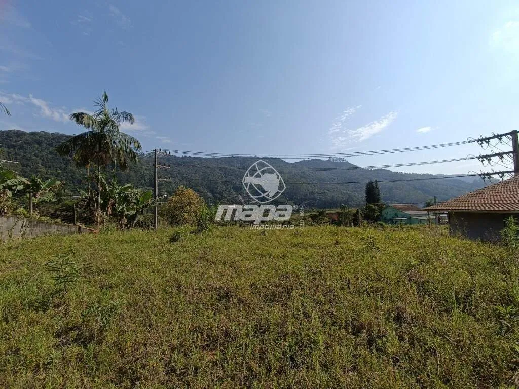 Terreno Urbano à venda, Alto Benedito - Benedito Novo /SC - foto 1