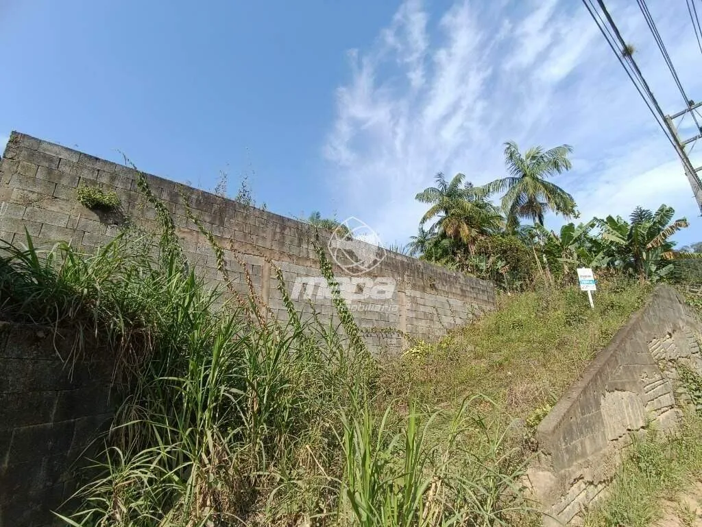 Terreno Urbano à venda, Alto Benedito - Benedito Novo /SC — foto 4