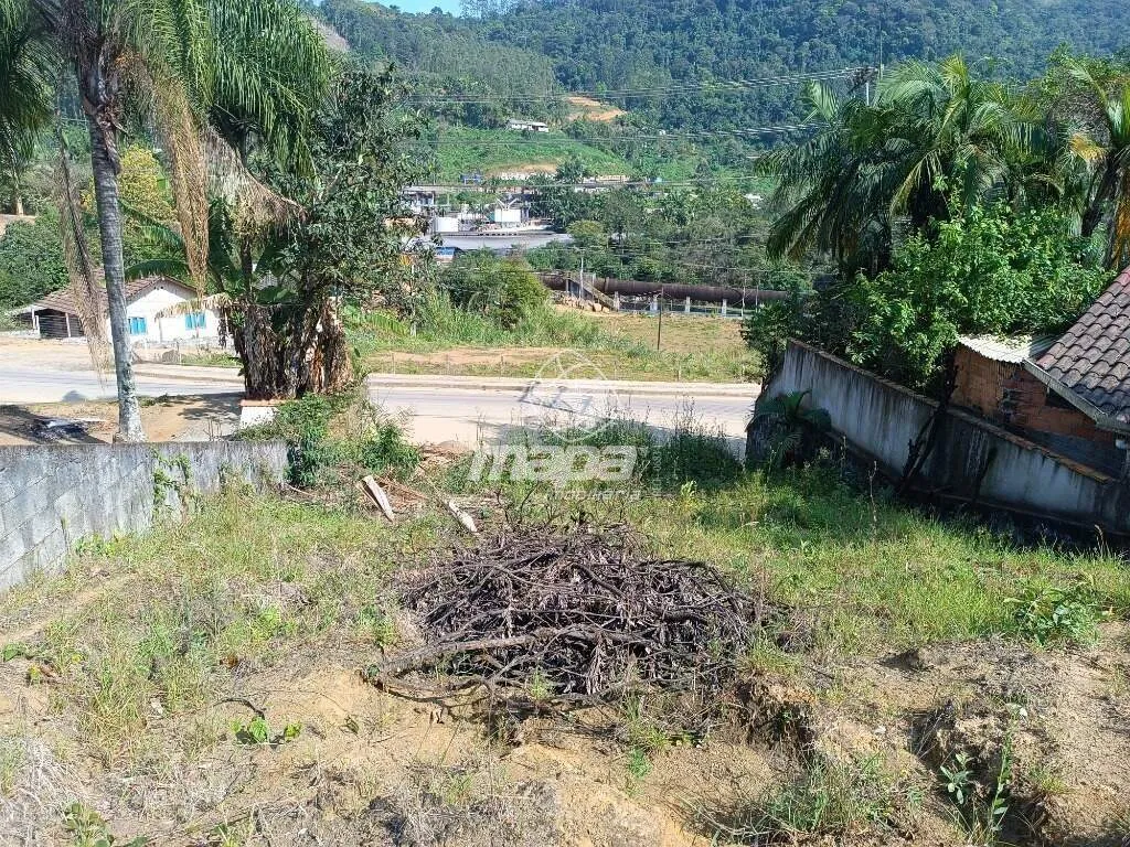 Terreno Urbano à venda, Alto Benedito - Benedito Novo /SC — foto 3
