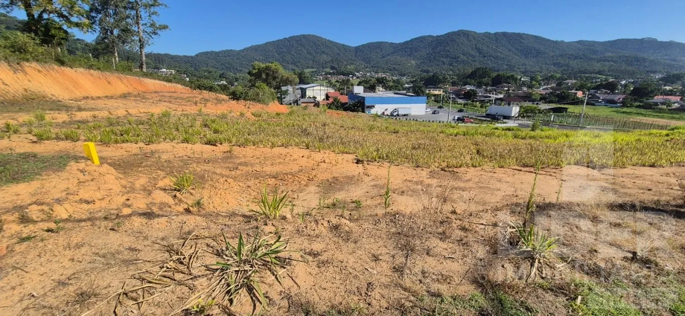 Terreno no Loteamento Golden Life no bairro Estrada das Areias — foto 6