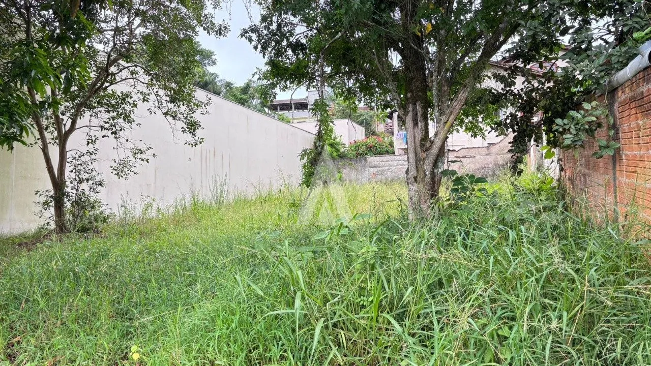 Terreno com 420 m à venda no bairro Nova Brasília em Joinville - SC por R$ 400.000,00. — foto 6