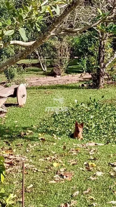 Chácara/Sítio à venda em Rodeio (São Pedro Velhos)  R$ 1.900.000,00 — foto 5