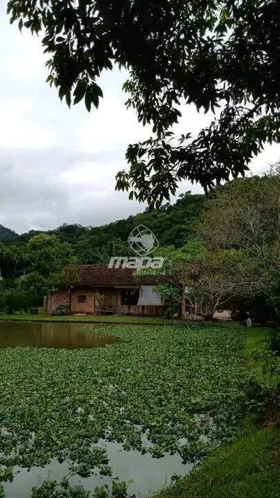 Chácara/Sítio à venda em Rodeio (São Pedro Velhos)  R$ 1.900.000,00 — foto 6