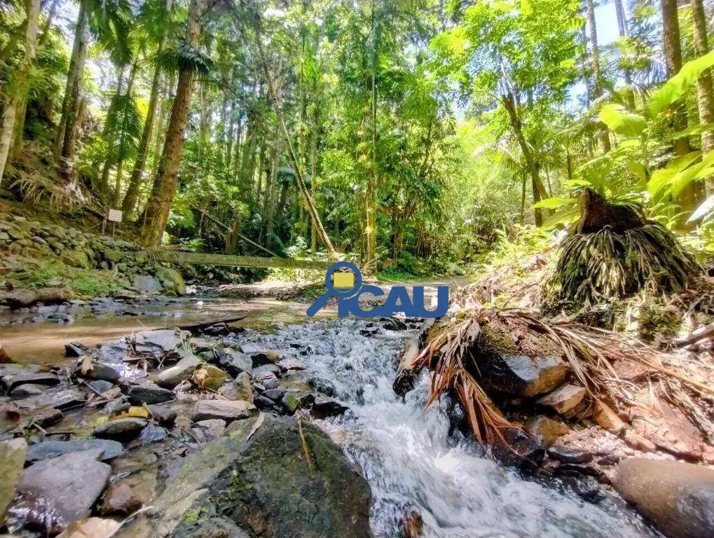 Sítio com 2 dormitórios à venda, 32 hectares por R$ 480.000 - Progresso - Blumenau/SC - foto 1