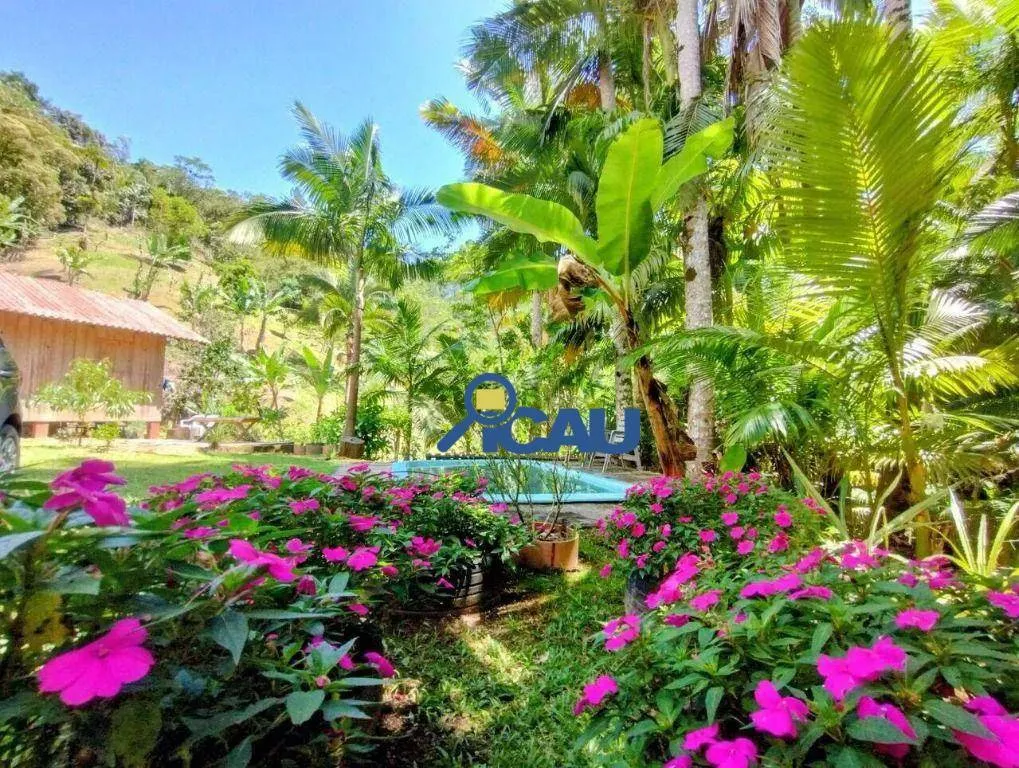 Sítio com 2 dormitórios à venda, 32 hectares por R$ 480.000 - Progresso - Blumenau/SC — foto 2