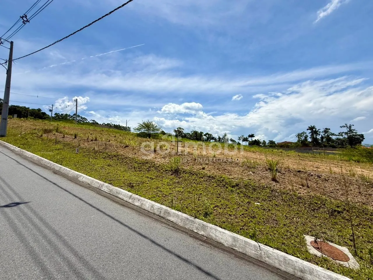 Terreno com excelente topografia. — foto 3