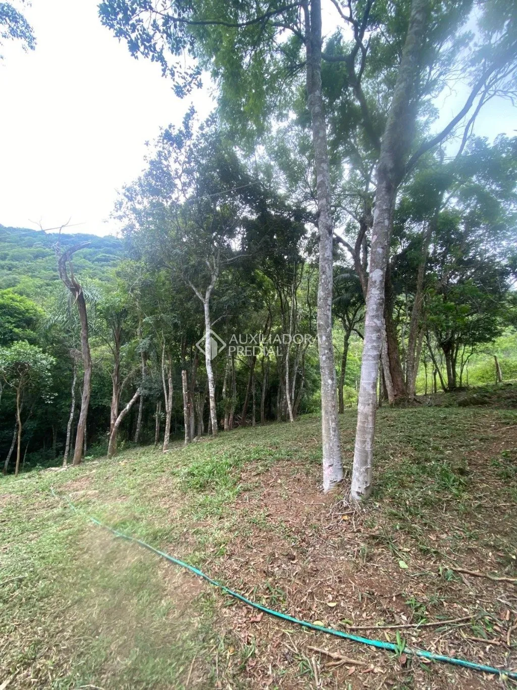 Imóvel — foto 3
