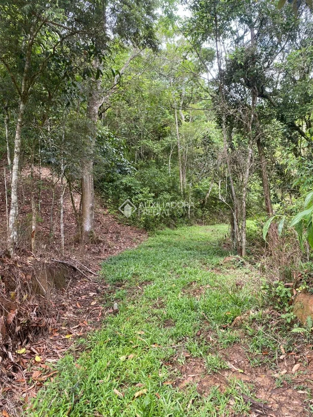 Imóvel — foto 6