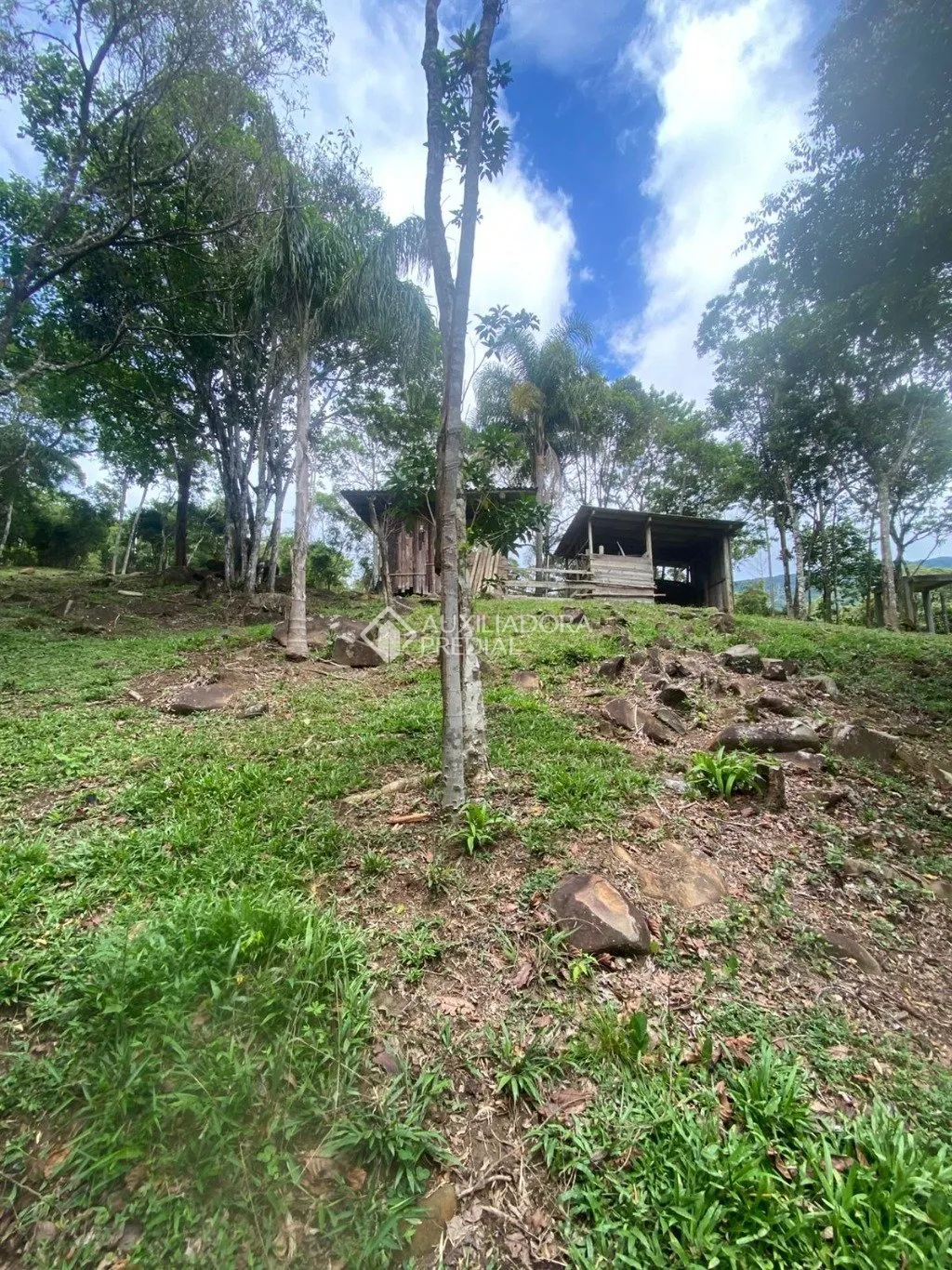 Imóvel — foto 7