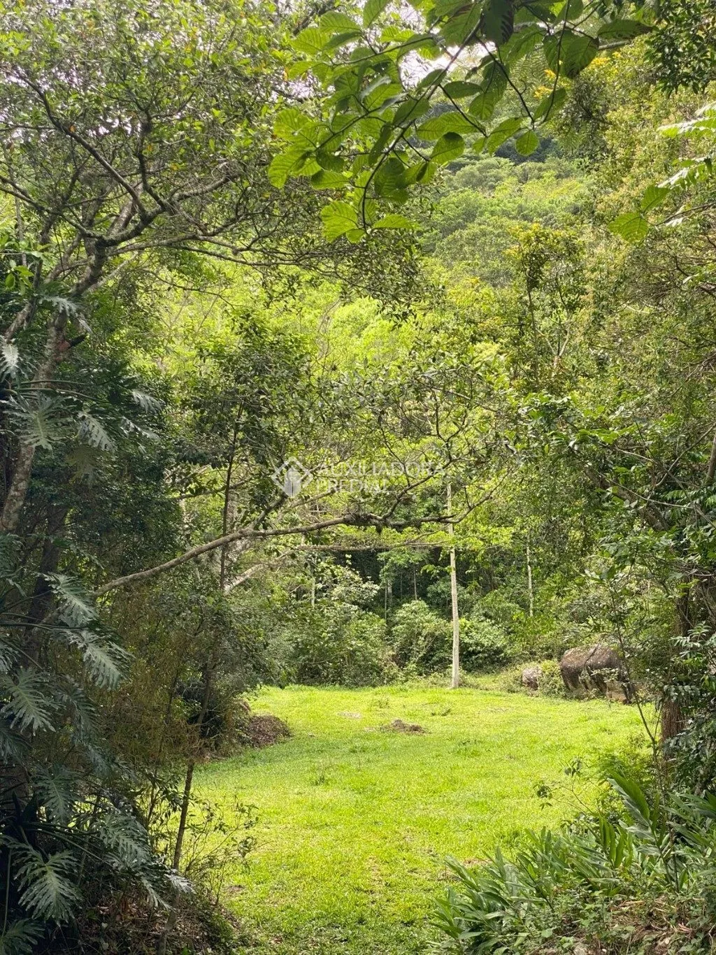 Imóvel - foto 1