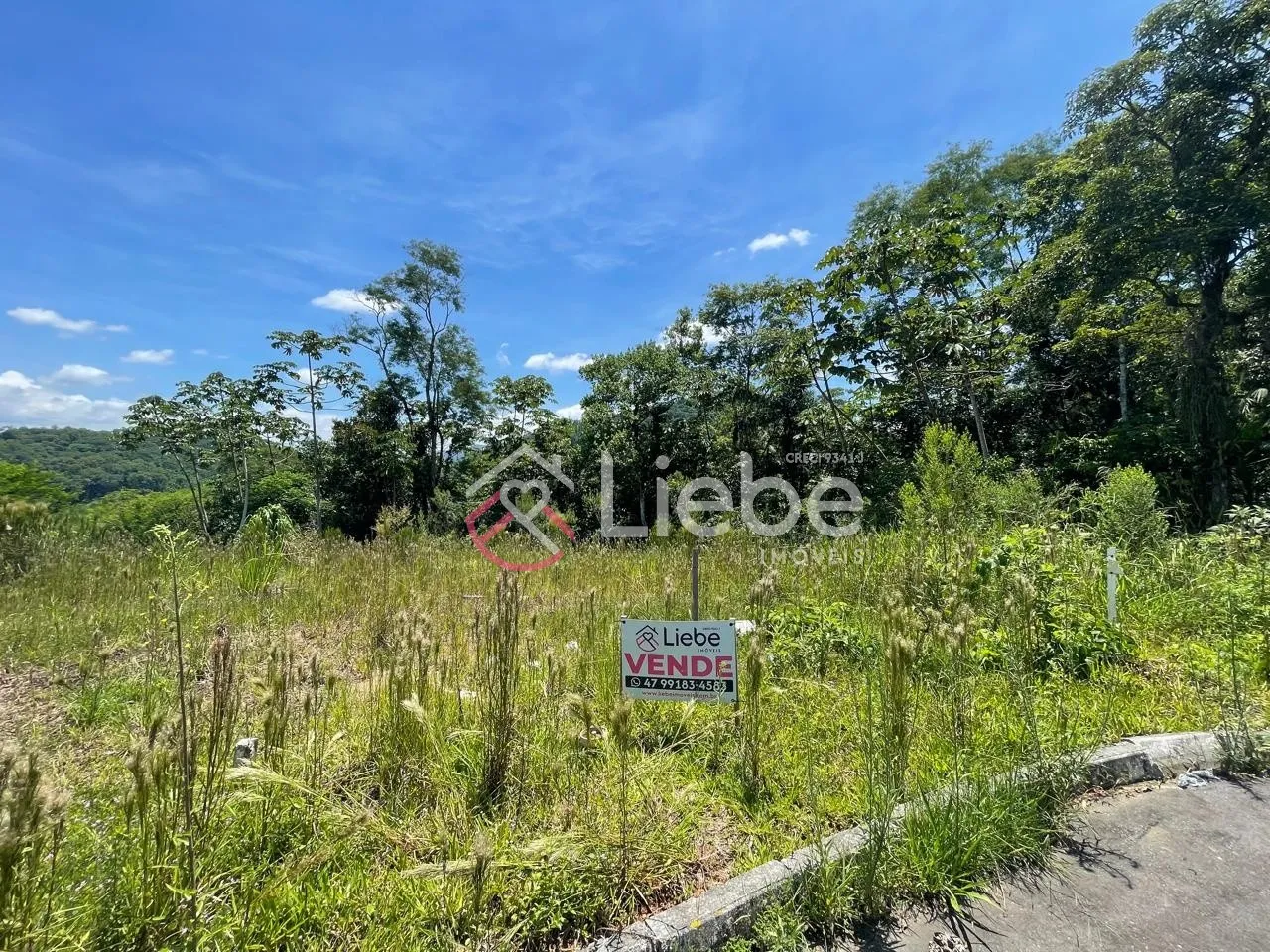 Terreno no Residencial Eco Garden no Bairro Testo Central em Pomerode com 462,81m fazendo frente em 47,13 metros. - foto 1
