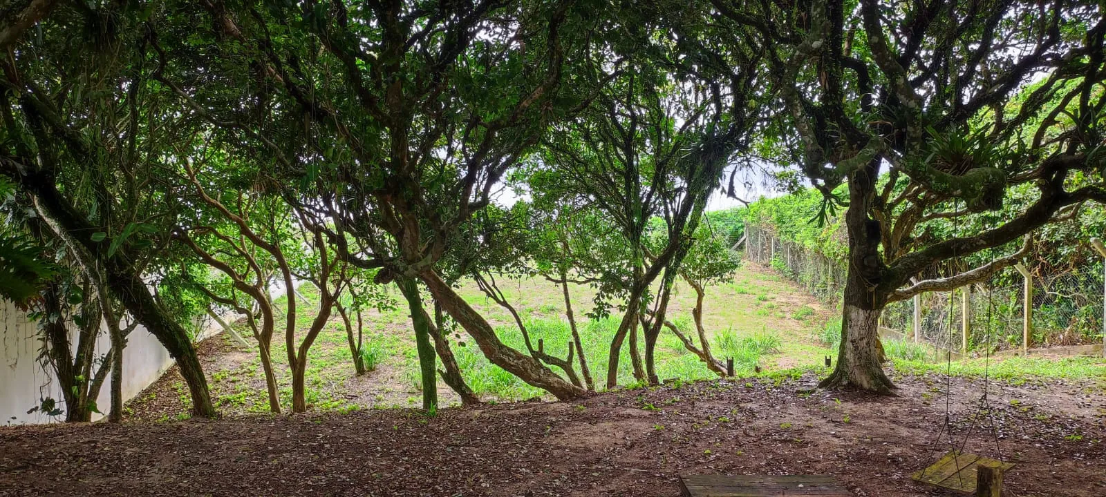Terreno Frente Mar em Balneário Camboriú — foto 4