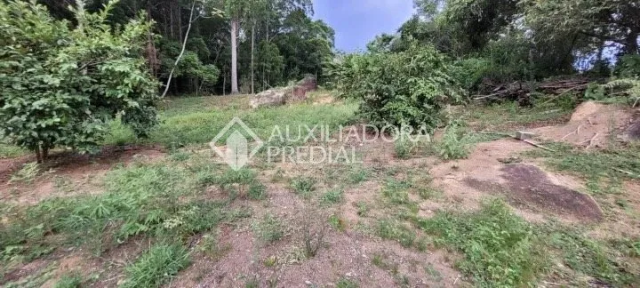 Imóvel Rural à venda, 9523m² na Virgílio Várzea no Saco Grande, Florianópolis — foto 5
