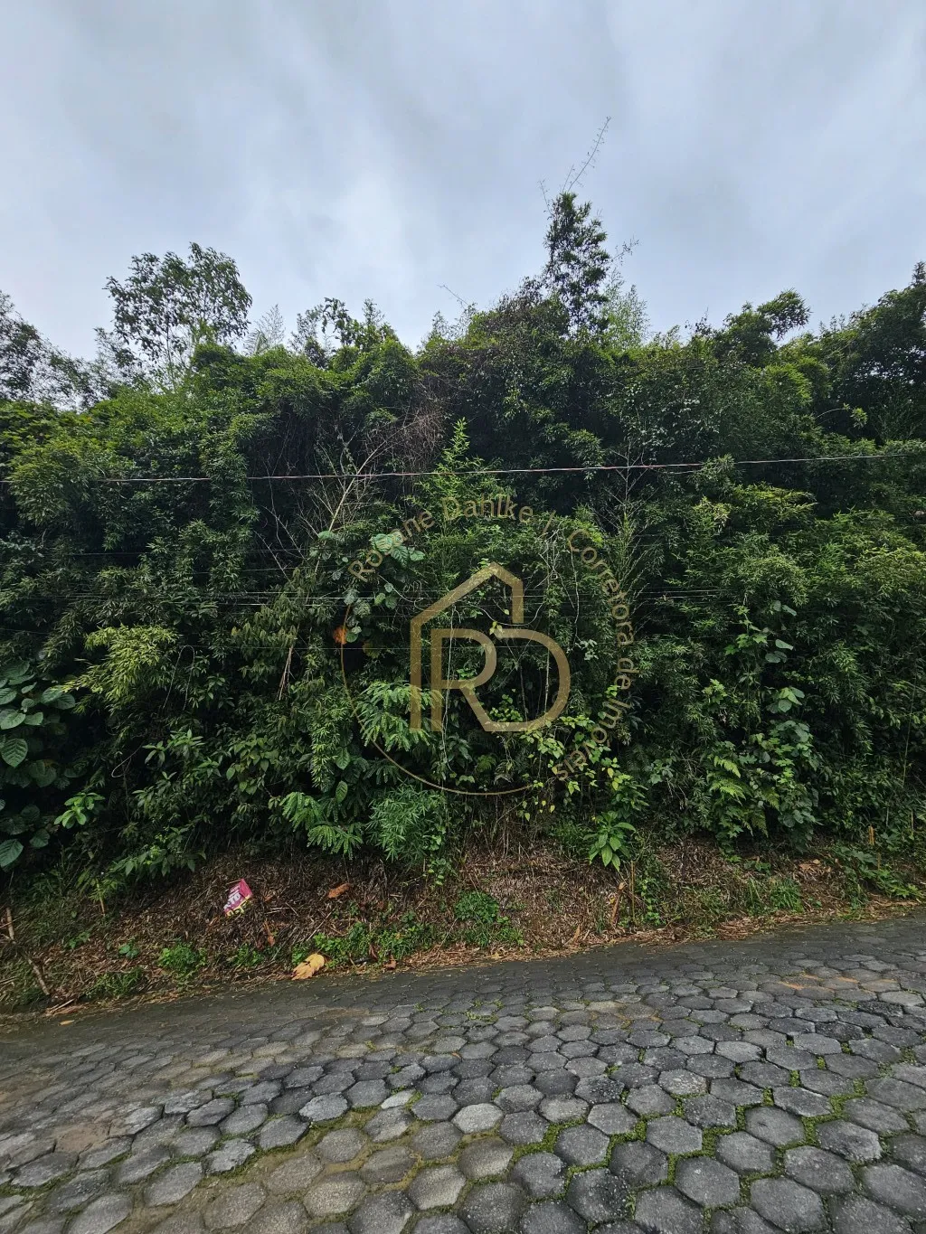 TERRENO COM PREÇO ESPECIAL EM BLUMENAU - OPORTUNIDADE REAL — foto 2