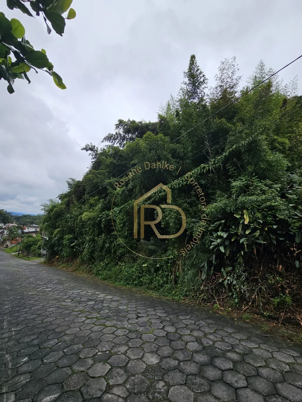 TERRENO COM PREÇO ESPECIAL EM BLUMENAU - OPORTUNIDADE REAL — foto 4