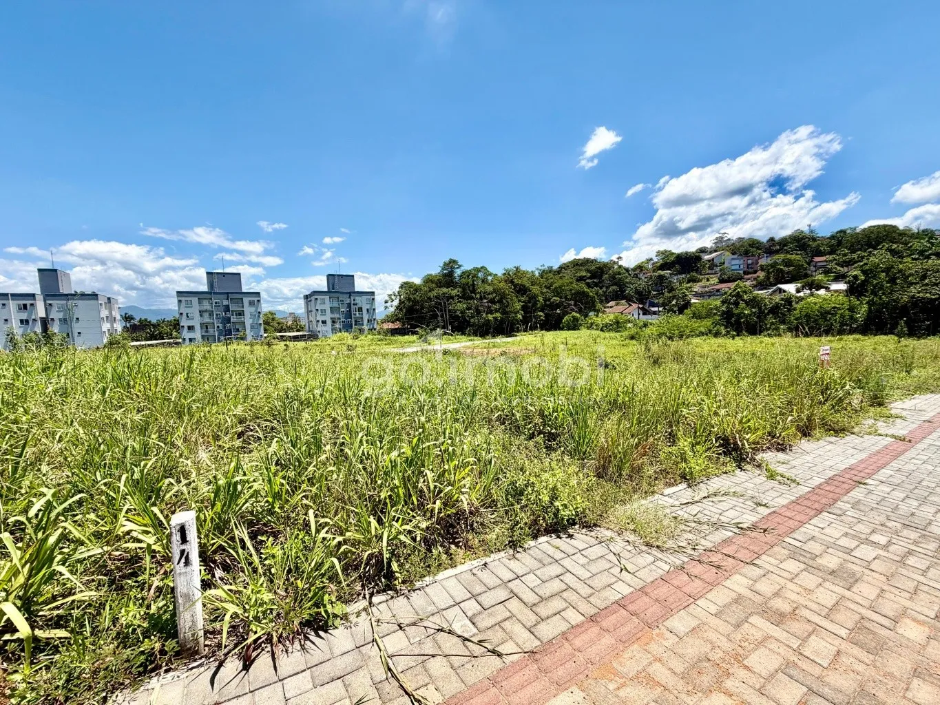 Terreno em Timbó, bairro Quintino. - foto 1