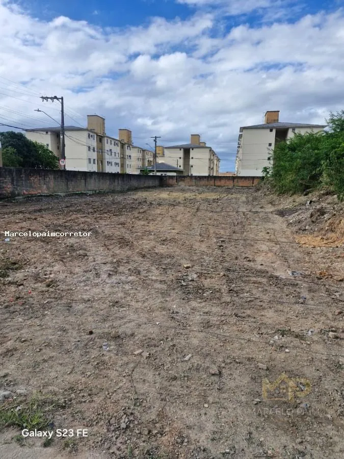 Terreno para Venda em Palhoça, Pachecos — foto 3