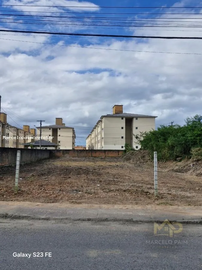 Terreno para Venda em Palhoça, Pachecos — foto 4