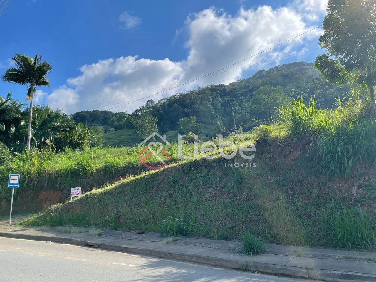 Oportunidade de Sítio no Bairro Ribeirão Souto na cidade de Pomerode com 20.767,50m. — foto 6