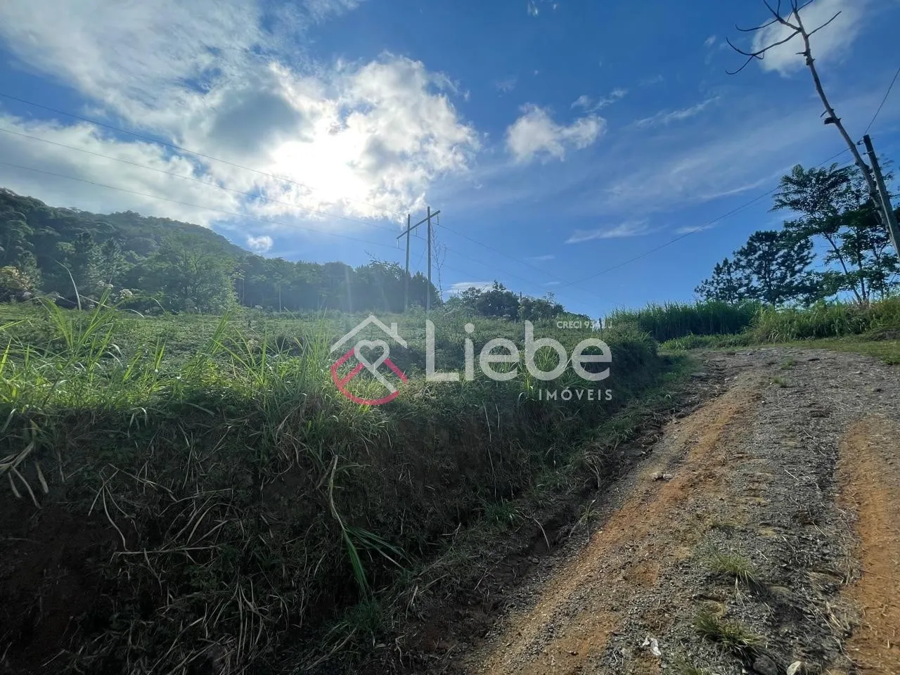 Oportunidade de Sítio no Bairro Ribeirão Souto na cidade de Pomerode com 20.767,50m. — foto 7