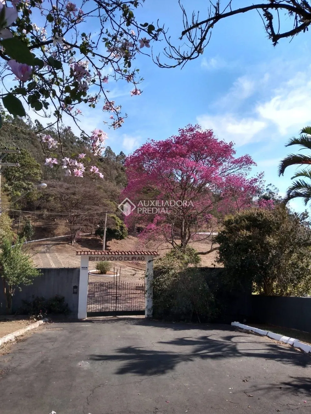 Imóvel — foto 6