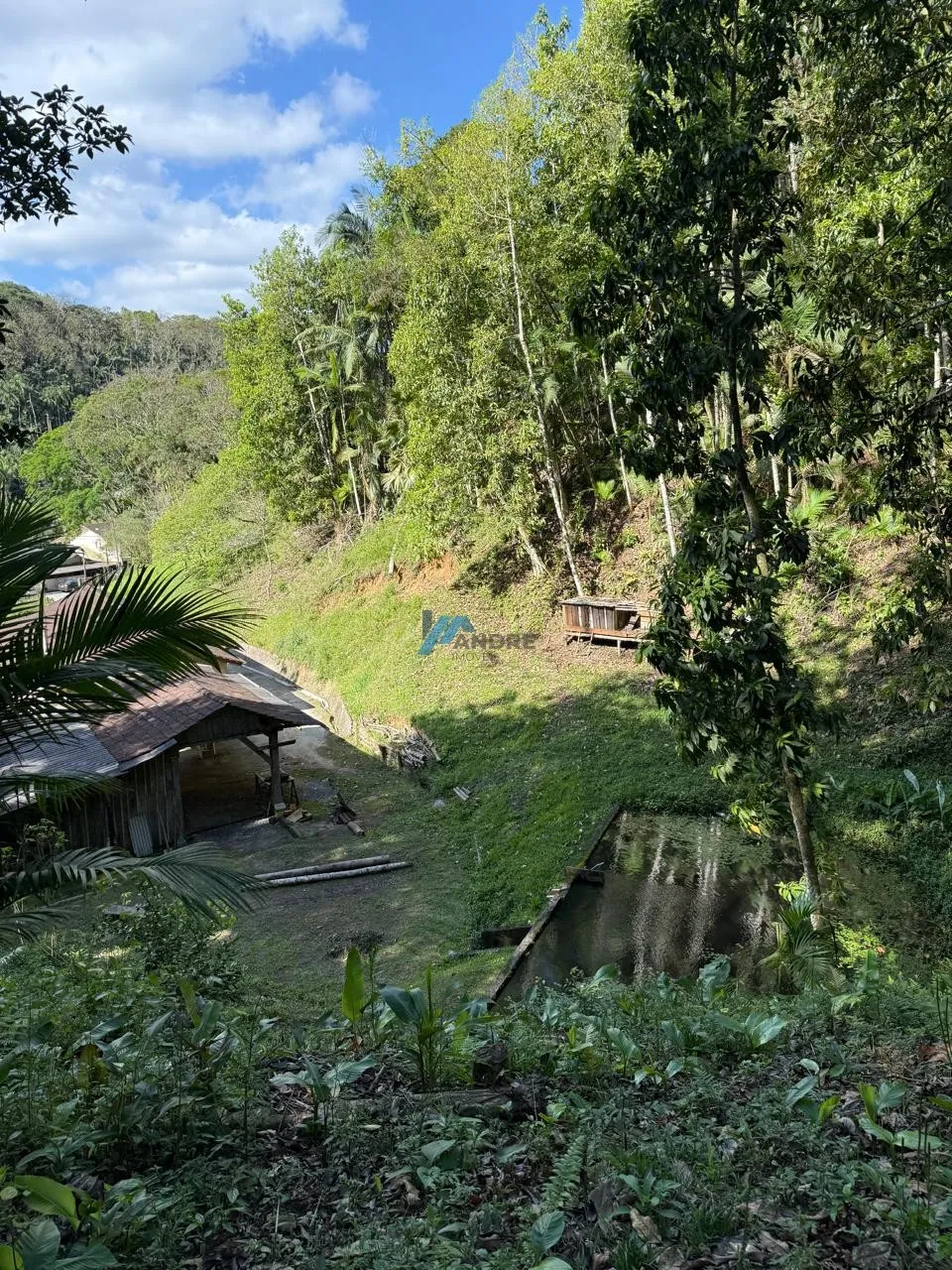 Chácara no centro da Vila Itoupava - foto 1