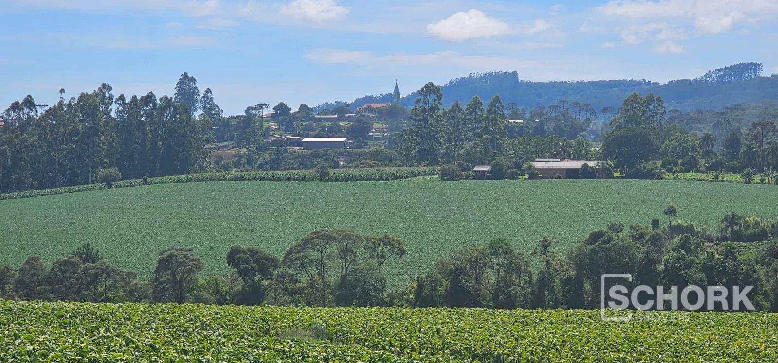 Sítio à venda, 218.318 m por R$ 2.250.000 - Rio do Campo - Rio do Campo/SC — foto 3