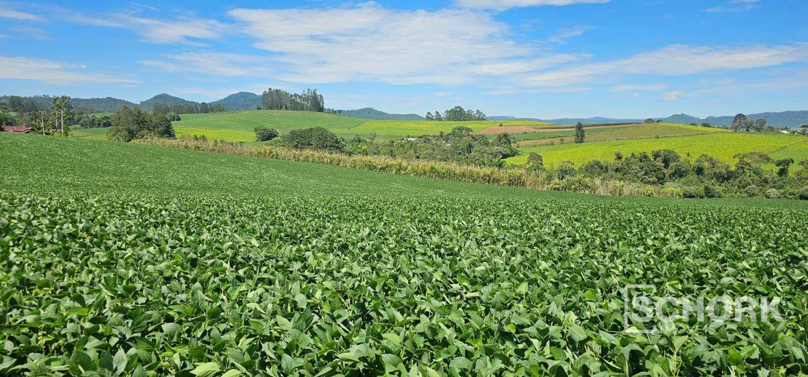 Sítio à venda, 218.318 m por R$ 2.250.000 - Rio do Campo - Rio do Campo/SC - foto 1