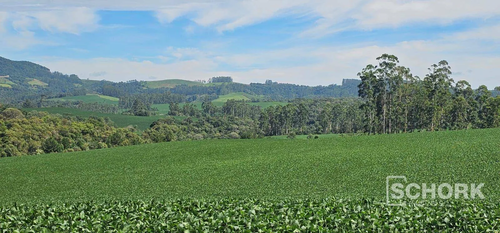 Sítio à venda, 218.318 m por R$ 2.250.000 - Rio do Campo - Rio do Campo/SC — foto 5