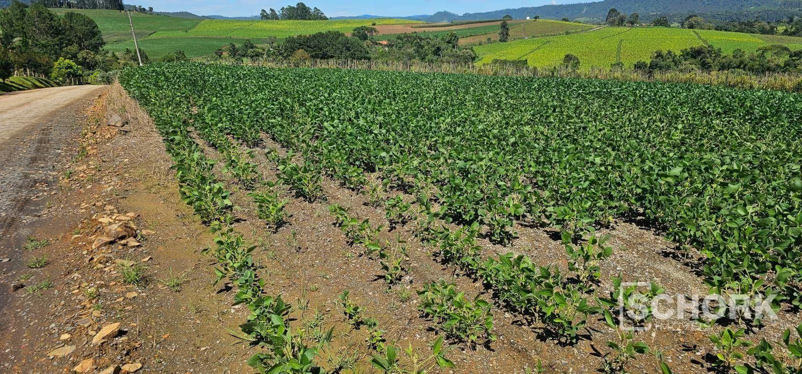 Sítio à venda, 218.318 m por R$ 2.250.000 - Rio do Campo - Rio do Campo/SC — foto 6