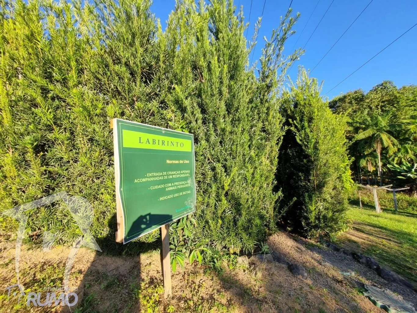 Terreno em mini sitio Condomínio - Qualidade de Vida e Excelente Oportunidade de Investimento — foto 3