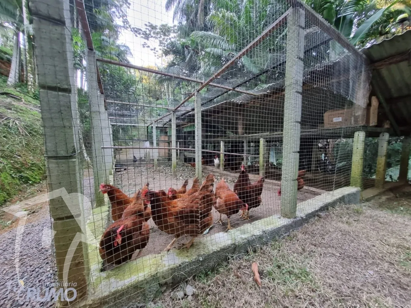 Terreno em mini sitio Condomínio - Qualidade de Vida e Excelente Oportunidade de Investimento — foto 7